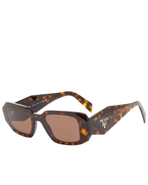 prada 17ws brown|prada 17ws sunglasses tortoise.